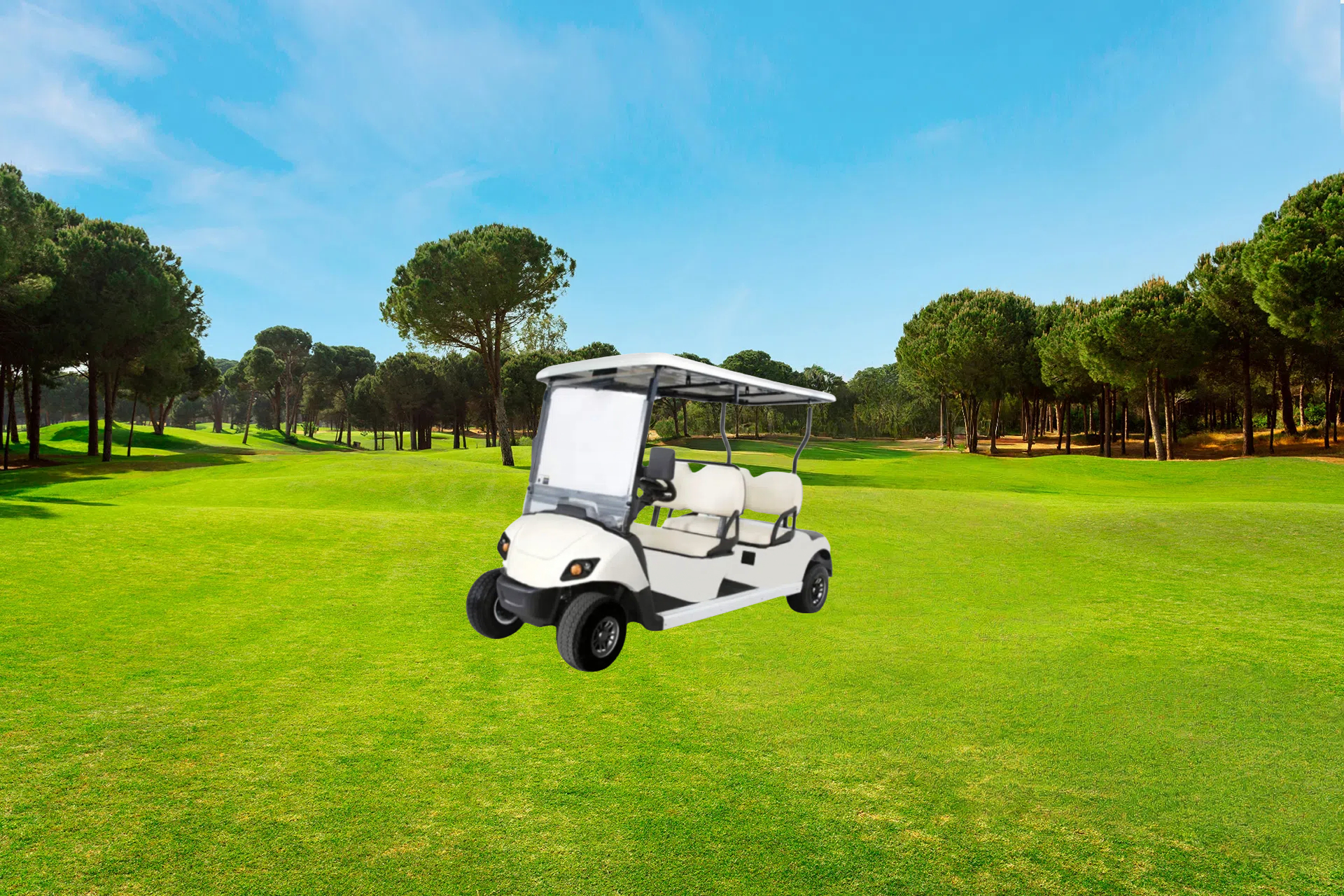 Golf Cart Battery solution